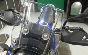 SUZUKI V-STROM 250 1994