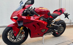 DUCATI PANIGA-REV4S 2025 3D00