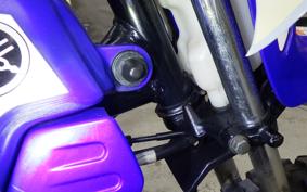 YAMAHA PW50 2007 3PT