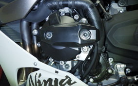 KAWASAKI NINJA ZX-6R A 2024 ZX636J