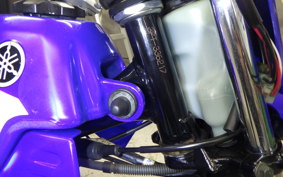 YAMAHA PW50 2021 3PT