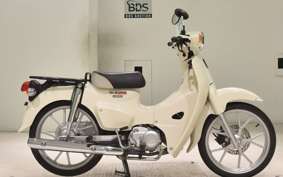 HONDA C110 SUPER CUB 2008 JA59