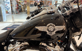 HARLEY  HARLEY FLFBS 2021 YGK