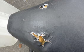 HONDA C50 SUPER CUB AA01