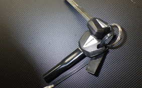 KAWASAKI NINJA 1100SX 2025 ZXT10H