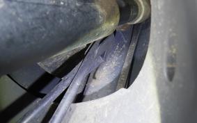 HONDA DIO CESTA AF34
