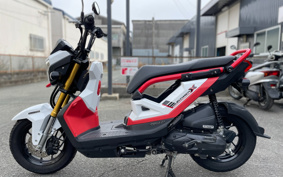 HONDA ZOOMERX JF62
