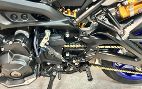 YAMAHA MT-09 SP ABS 2019 RN52J