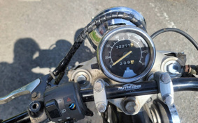 YAMAHA VIRAGO 250 3DM