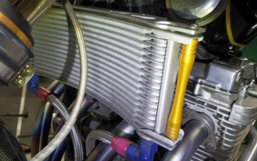 YAMAHA XJR1300 Gen.2 2007 RP17J