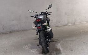 KAWASAKI Z250 SL BR250E