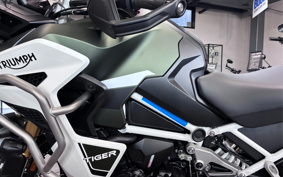 TRIUMPH TIGER EXPLORER 2025 TAP23V