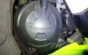 KAWASAKI NINJA 250 SL BX250A