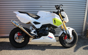 HONDA GROM JC61