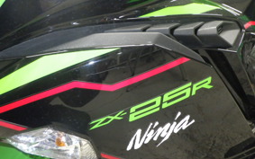 KAWASAKI ZX-25R ZX250E