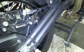 BENELLI TRK502X 2025