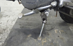 HONDA MONKEY 2025 Z50J