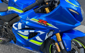 SUZUKI GSX-R1000R ABS 2017 DM11G