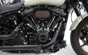HARLEY  HARLEY FXLRS 2024 YWZ