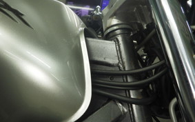 HONDA HORNET 250 MC31