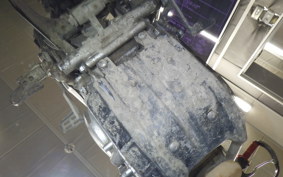 YAMAHA TRICKER DG10J