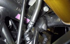 HONDA CBR250RR A 2024 MC51