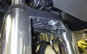 HARLEY FLTRX1920 2025