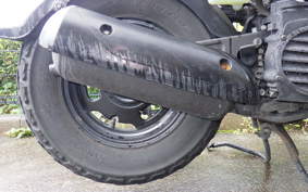 HONDA ZOOMER 2022 AF58