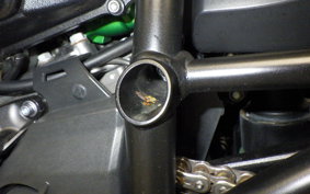 KAWASAKI NINJA H2 SX SE 2018 ZXT02A