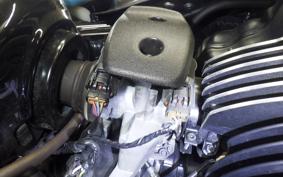 KAWASAKI W800 CAFE 2021 EJ800B
