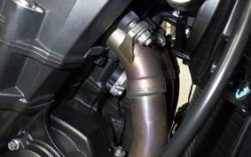 TRIUMPH STREET TRIPLE RS 2025