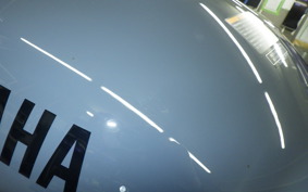 YAMAHA XSR900 GP 2025 RN96J