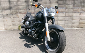 HARLEY  HARLEY FLSTFB 2010 JN5