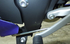 YAMAHA YZF-R15 2006 RG86J