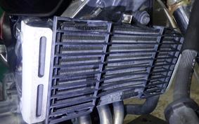 HONDA HORNET 250 1994 MC31