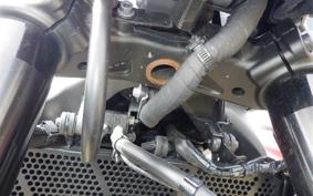 YAMAHA MT-09 2024 RN87J