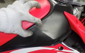 HONDA CRF250L 2024 MD44