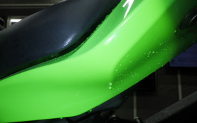 KAWASAKI ZX-4RR 2024 ZX400P