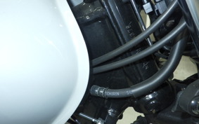 HONDA GB350S 2022 NC59