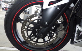 OTHER メガリ 250R