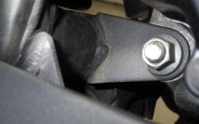 KAWASAKI NINJA 250 2025 EX250L