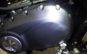 TRIUMPH SPEED 400 2024