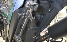 YAMAHA WR250X 2022 DG15J