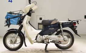 HONDA C110 SUPER CUB 2022 JA10