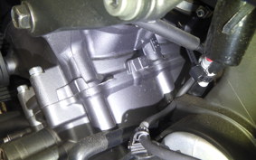 YAMAHA MT-09 2024 RN87J