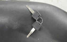 YAMAHA VIRAGO 250 2023 3DM