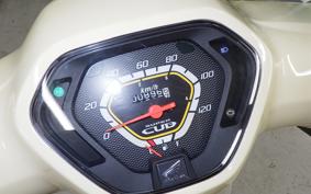 HONDA C110 SUPER CUB 2021 JA10