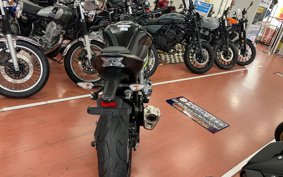 KAWASAKI Z900 2019 ZR900B