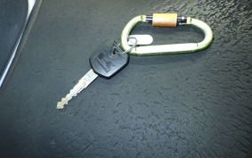 KAWASAKI Z250 2021 ER250C