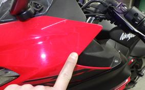 KAWASAKI NINJA 250 2001 EX250P